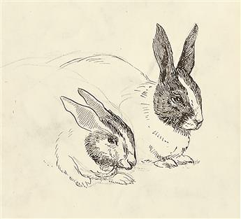 BERTRAM POTTER. A study of rabbits and hands.